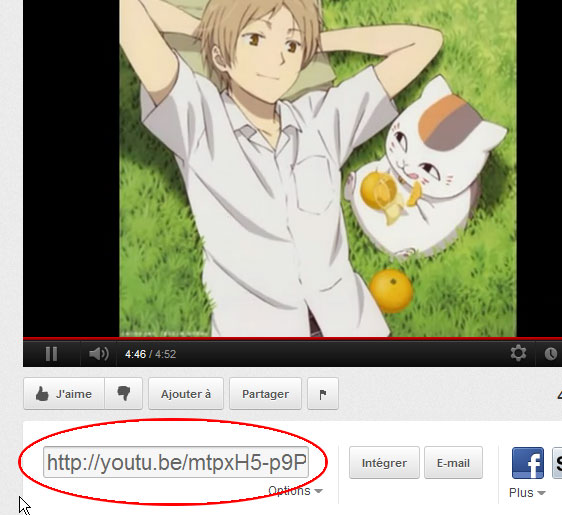 How to post videos from Youtube and Dailymotion Snaps00022-33bab57